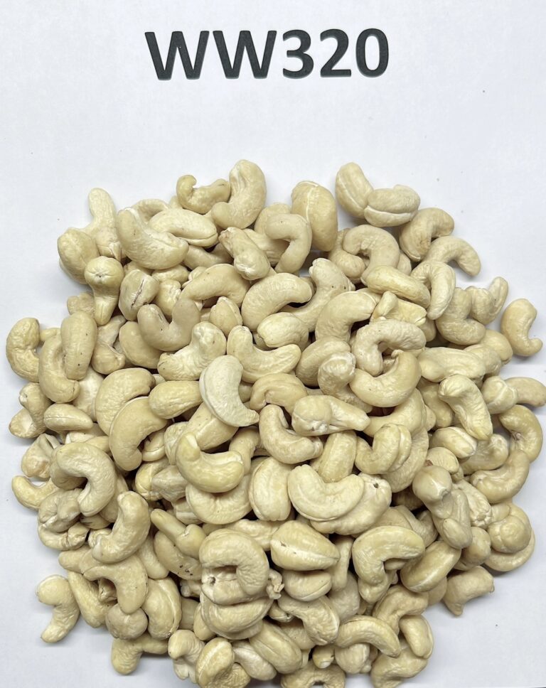 SVC Group 49 SVC Vietnamese cashew kernels WW320