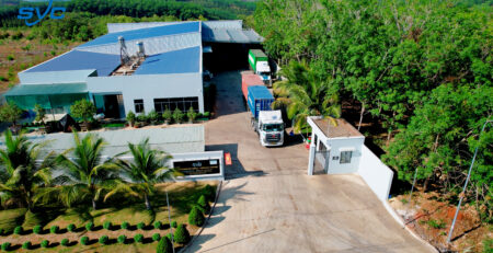 cashew factory in Vietnam