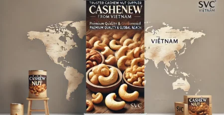 Cashew Nut Supplier Vietnam