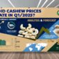 How Did Cashew Prices Fluctuate in Q1/2025? Analysis & Forecast