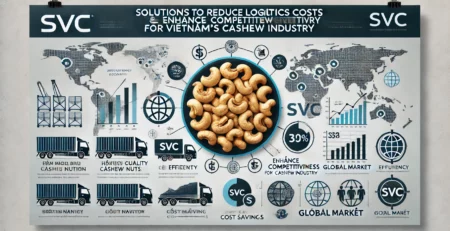 Solutions to Reduce Logistics Costs and Enhance Competitiveness for Vietnam’s Cashew Industry