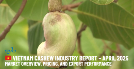 Banner Cashew