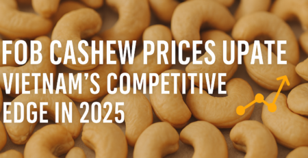 FOB Cashew Prices Update Vietnam Competitive Edge in 2025