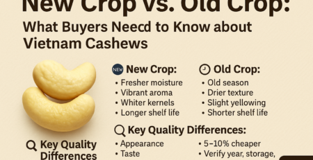 New Crop vs. Old Crop What Buyers Need to Know about Vietnam Cashews
