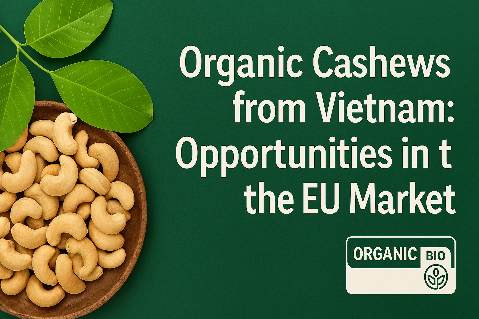 Organic Cashews from Vietnam Opportunities in the EU Market