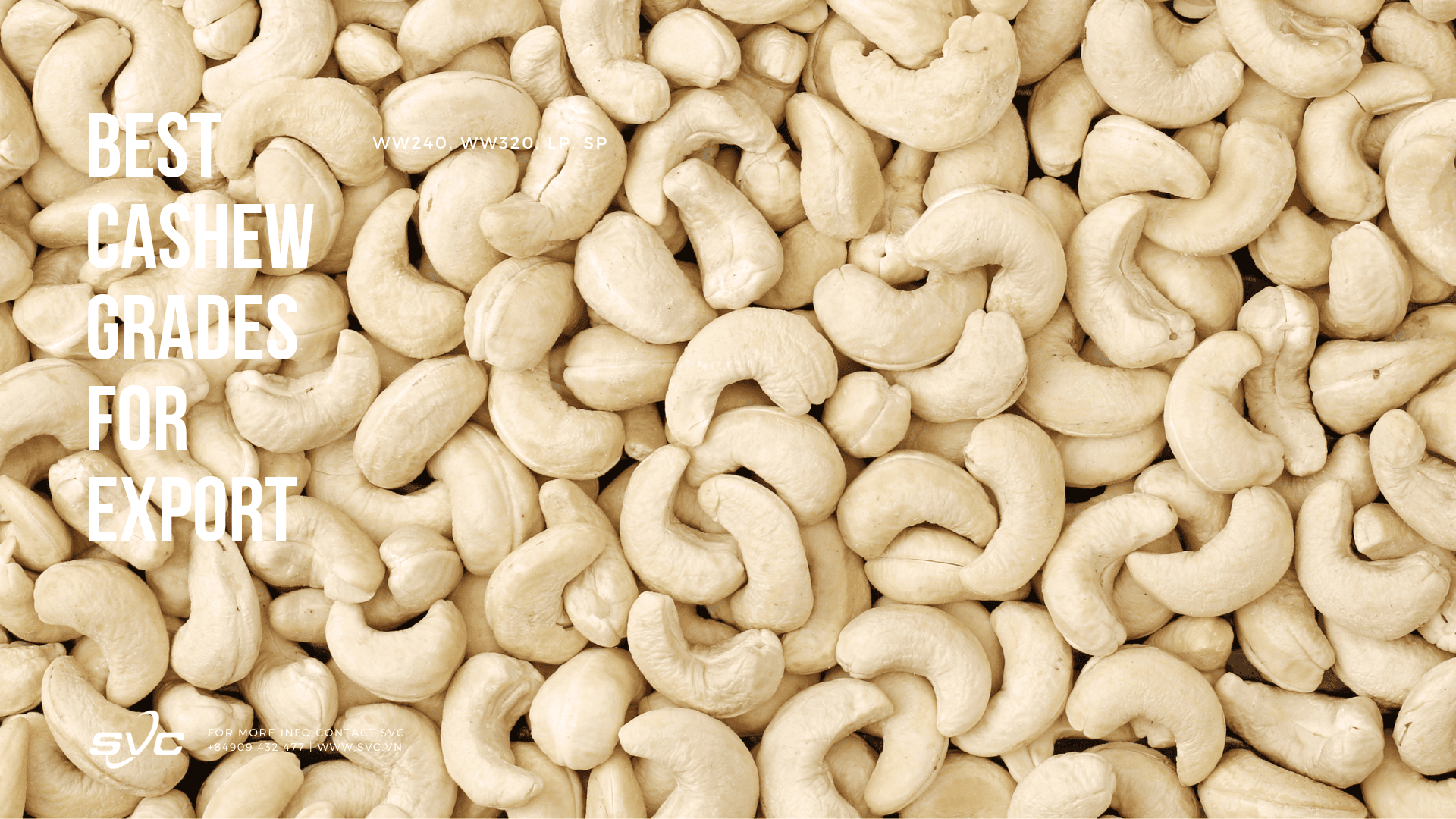Best Cashew Grades for Export SVC