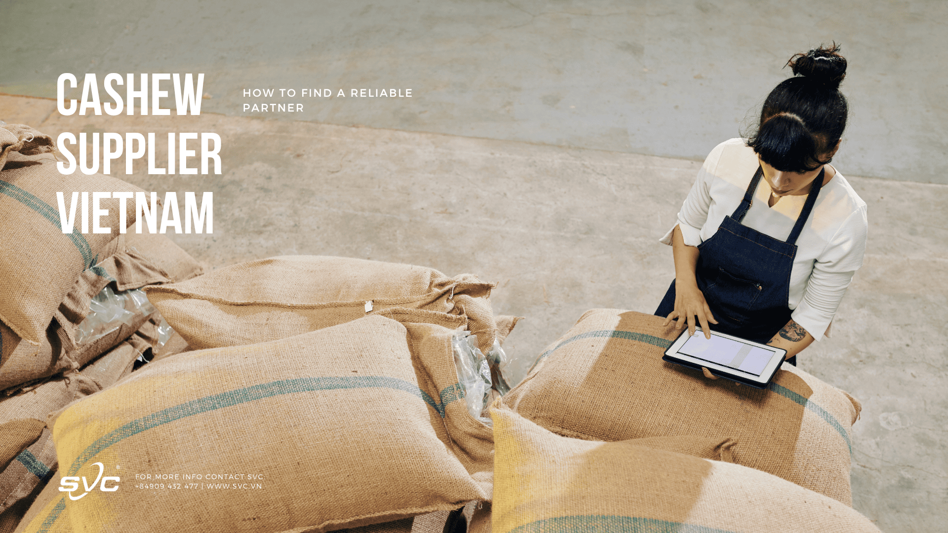 Cashew Supplier Vietnam 02