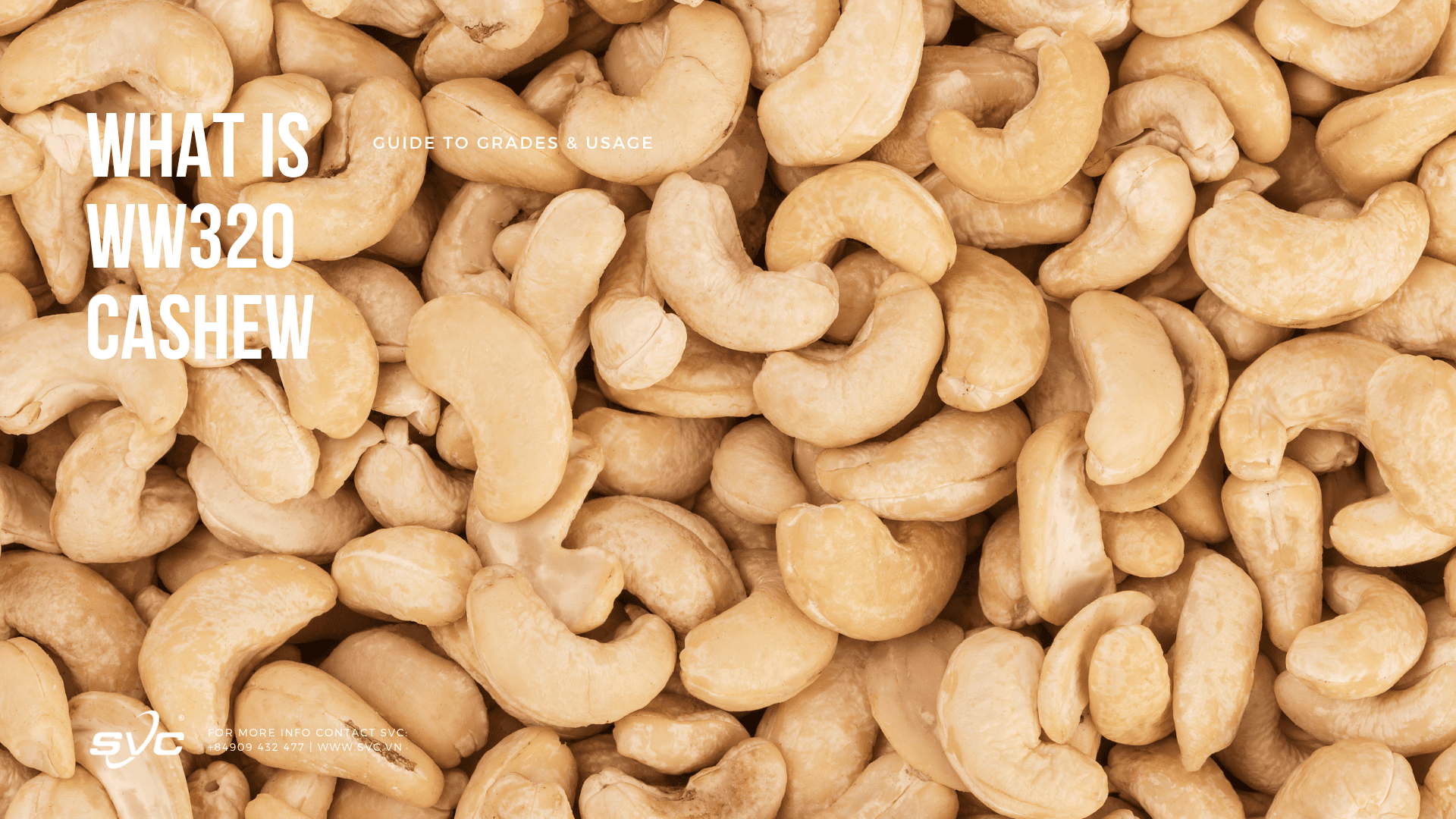 What is WW320 Cashew SVC