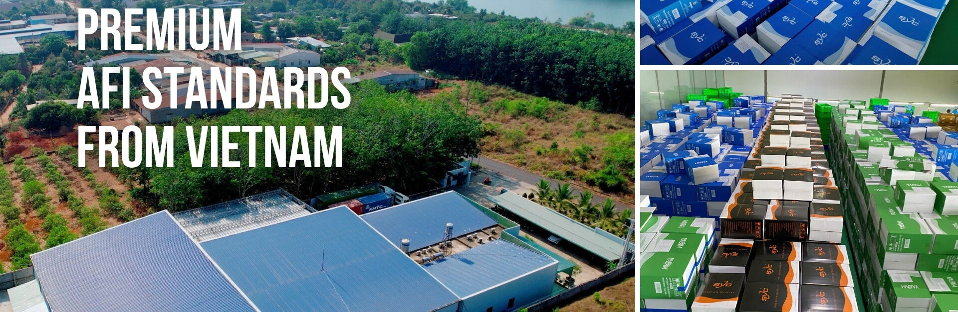 Cashew-Kernels-Premium-AFI-Standards-from-Vietnam