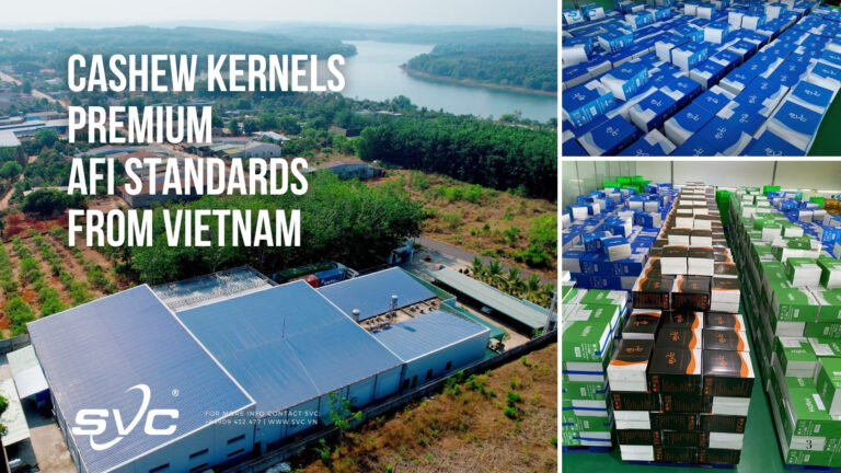 Cashew Kernels – Premium AFI Standards from Vietnam | SVC Group