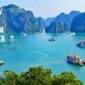 Cashew Nuts Vietnam Supplier – What Global Buyers Should Know