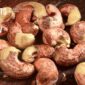 Where to Buy Cashew Nuts Online