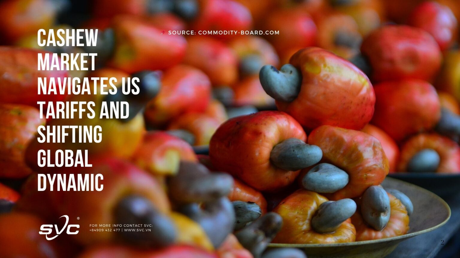 Cashew Market Navigates US Tariffs And Shifting Global Dynamics | SVC Group