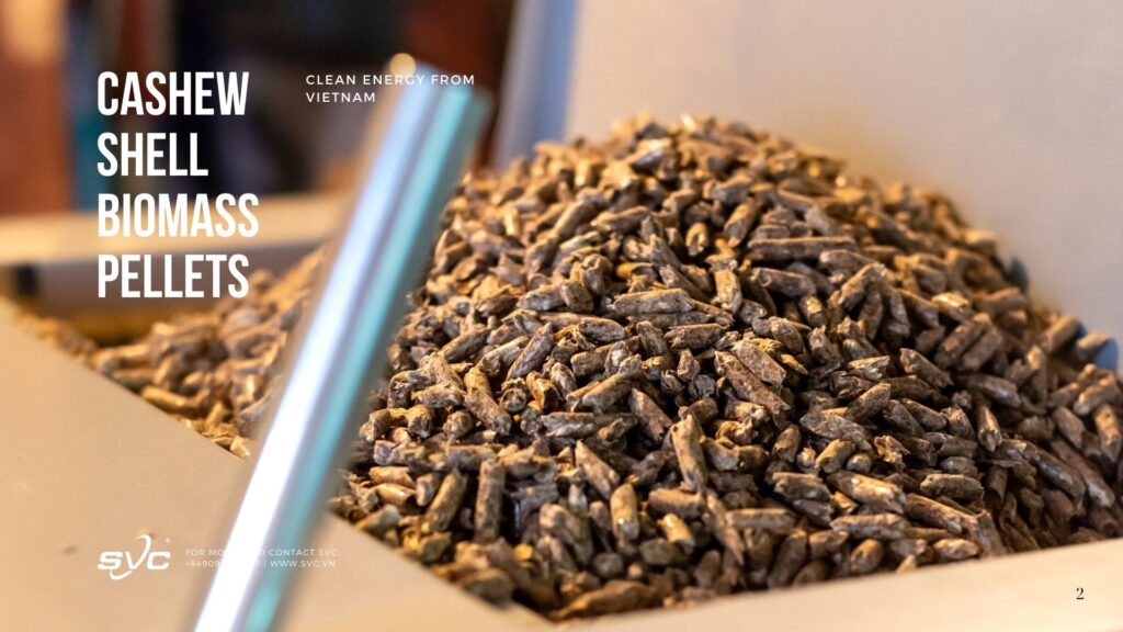 Cashew Shell Biomass Pellets – Clean Energy From Vietnam | SVC Group