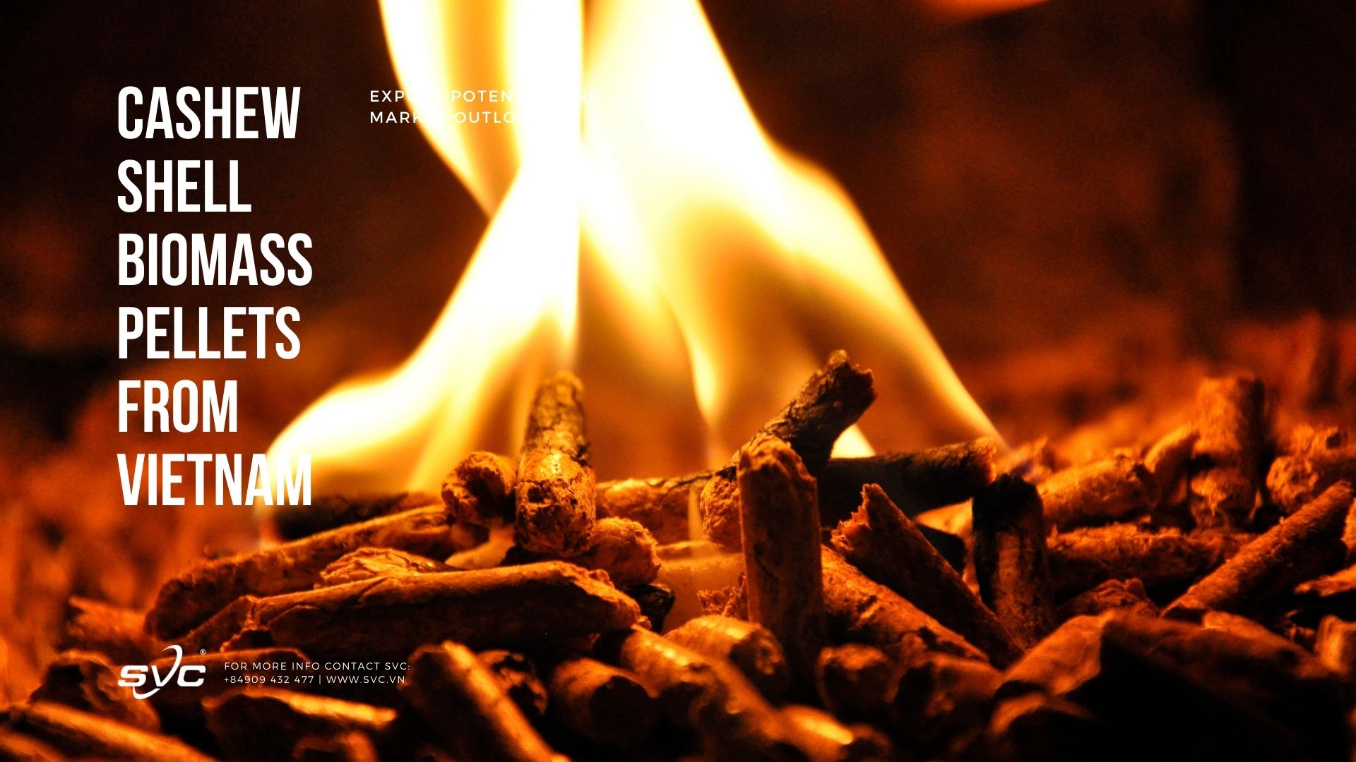Cashew Shell Biomass Pellets from Vietnam: Export Potential and Market Outlook