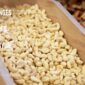 Challenges Facing Vietnam’s Cashew Industry in 2025: A Period of Harsh Restructuring