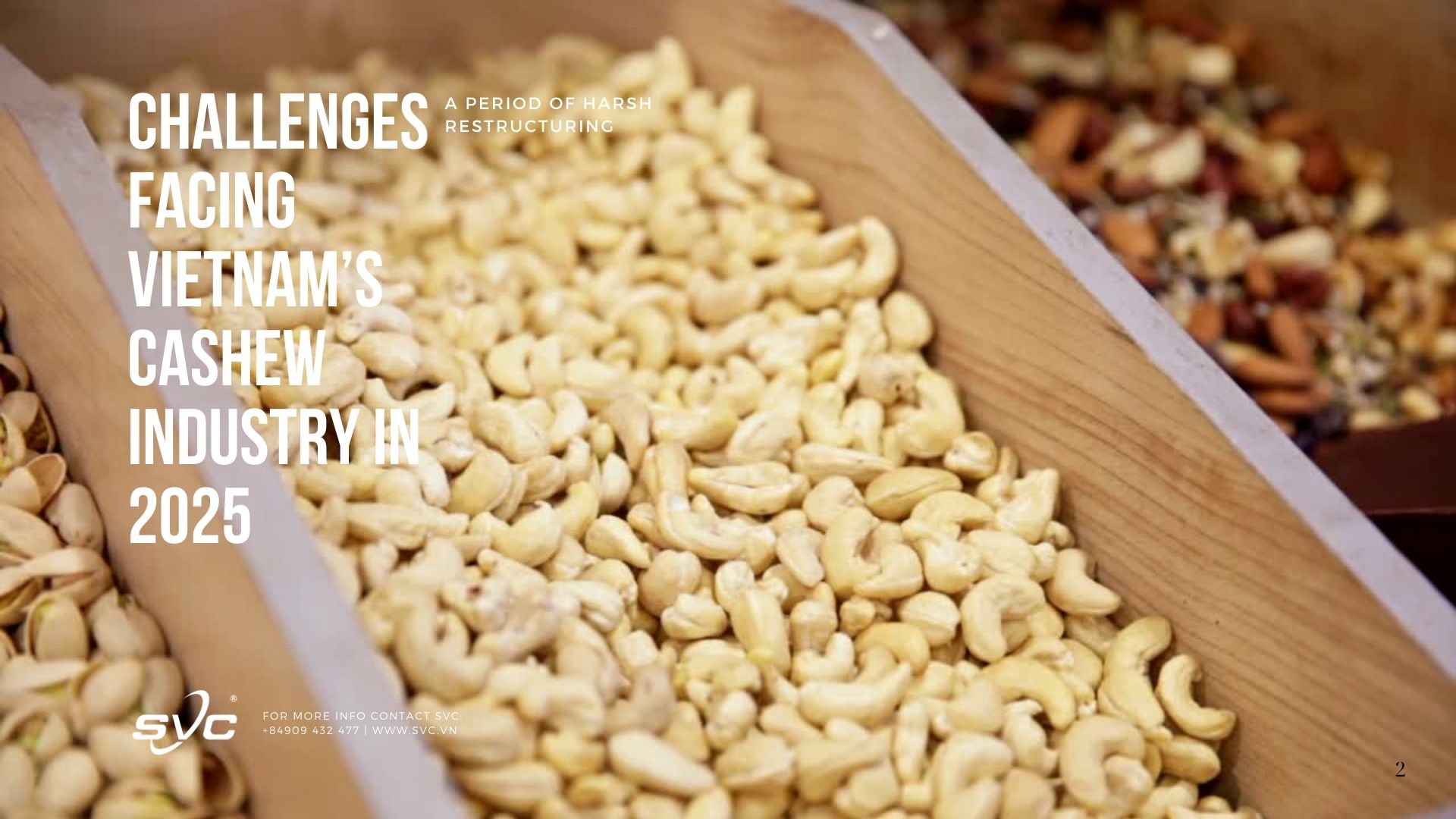 Challenges Facing Vietnam’s Cashew Industry in 2025: A Period of Harsh Restructuring