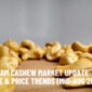 Vietnam Cashew Market Update – Deep Dive & Price Trends (Mid-Aug 2025)