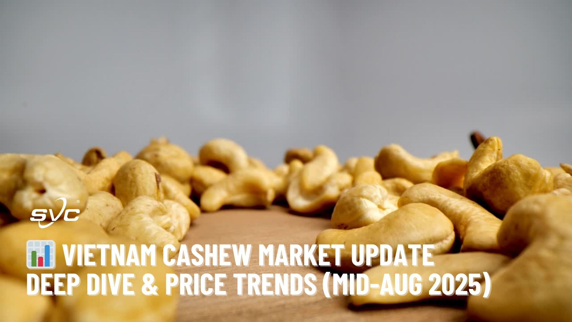 Vietnam Cashew Market Update – Deep Dive & Price Trends (Mid-Aug 2025)