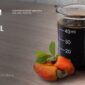 Vietnam Cashew Shell Oil Price – Updated Market Insights for CNSL Buyers
