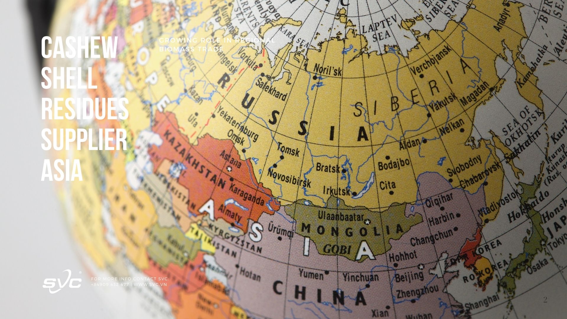 Cashew Shell Residues Supplier Asia – Growing Role in Regional Biomass Trade