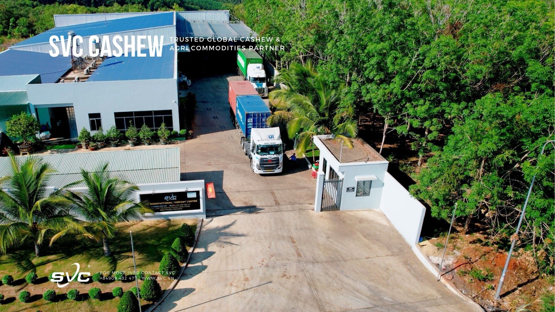 SVC Cashew – Trusted Global Cashew & Agri Commodities Partner