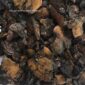 SVC Launches New Product: Cashew Shell Residues