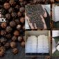 SVC Secures New Black Pepper Export Order