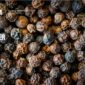 Vietnam Black Pepper Exporter – Global Leadership in Spice Trade