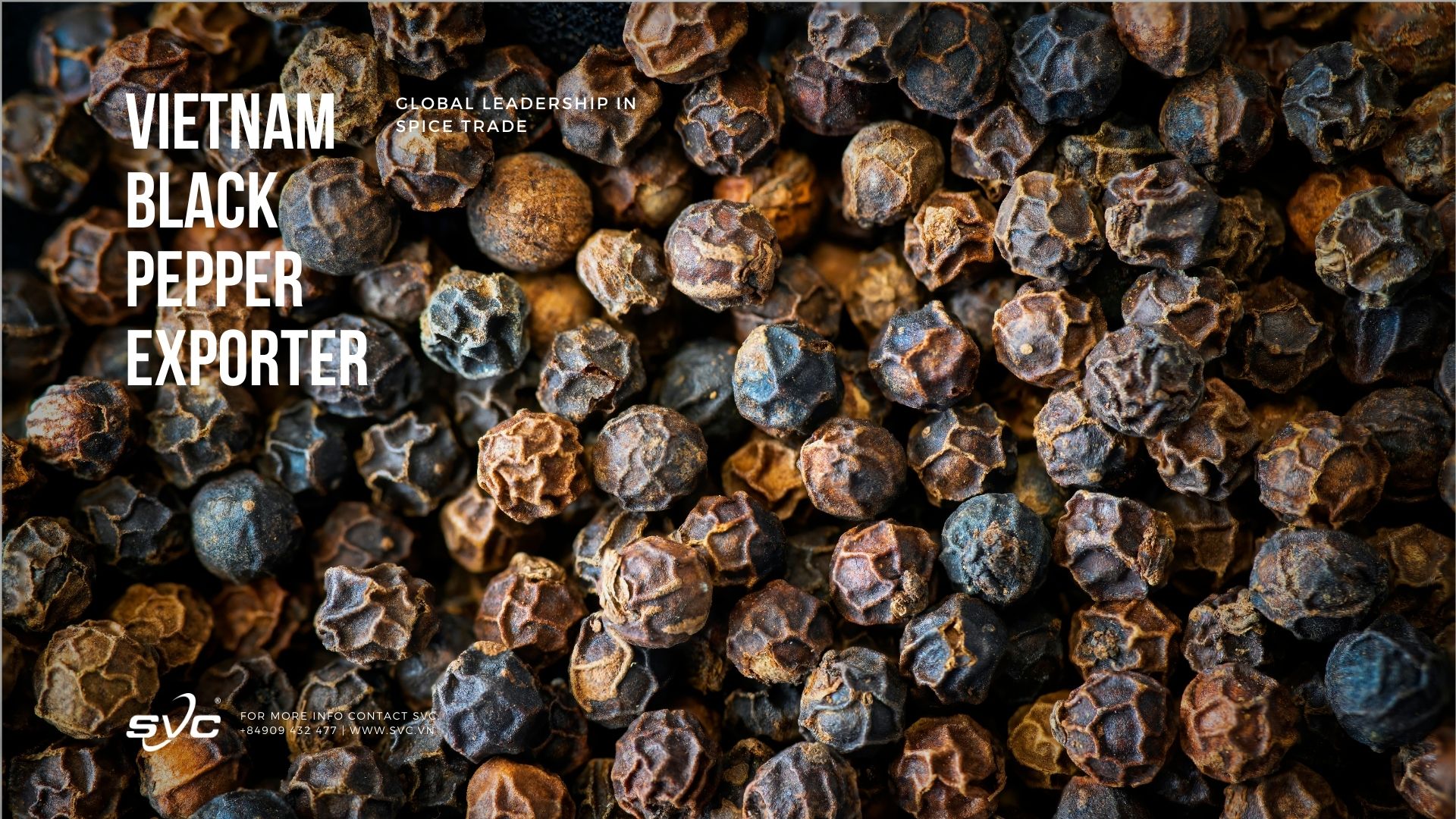 Vietnam Black Pepper Exporter – Global Leadership in Spice Trade