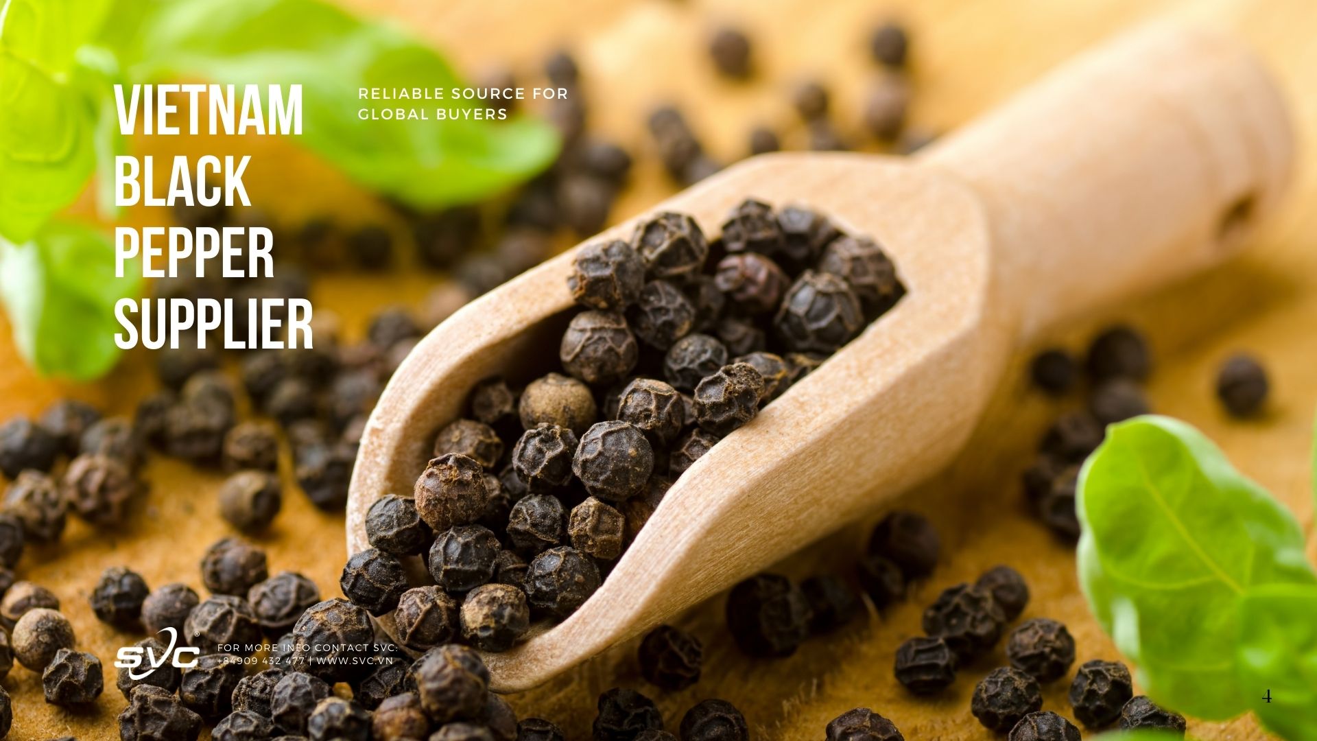 Vietnam Black Pepper Supplier – Reliable Source for Global Buyers