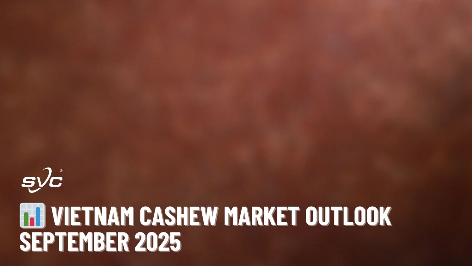 Vietnam Cashew Market Outlook – September 2025 | SVC Group