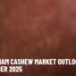Vietnam Cashew Market Outlook – September 2025