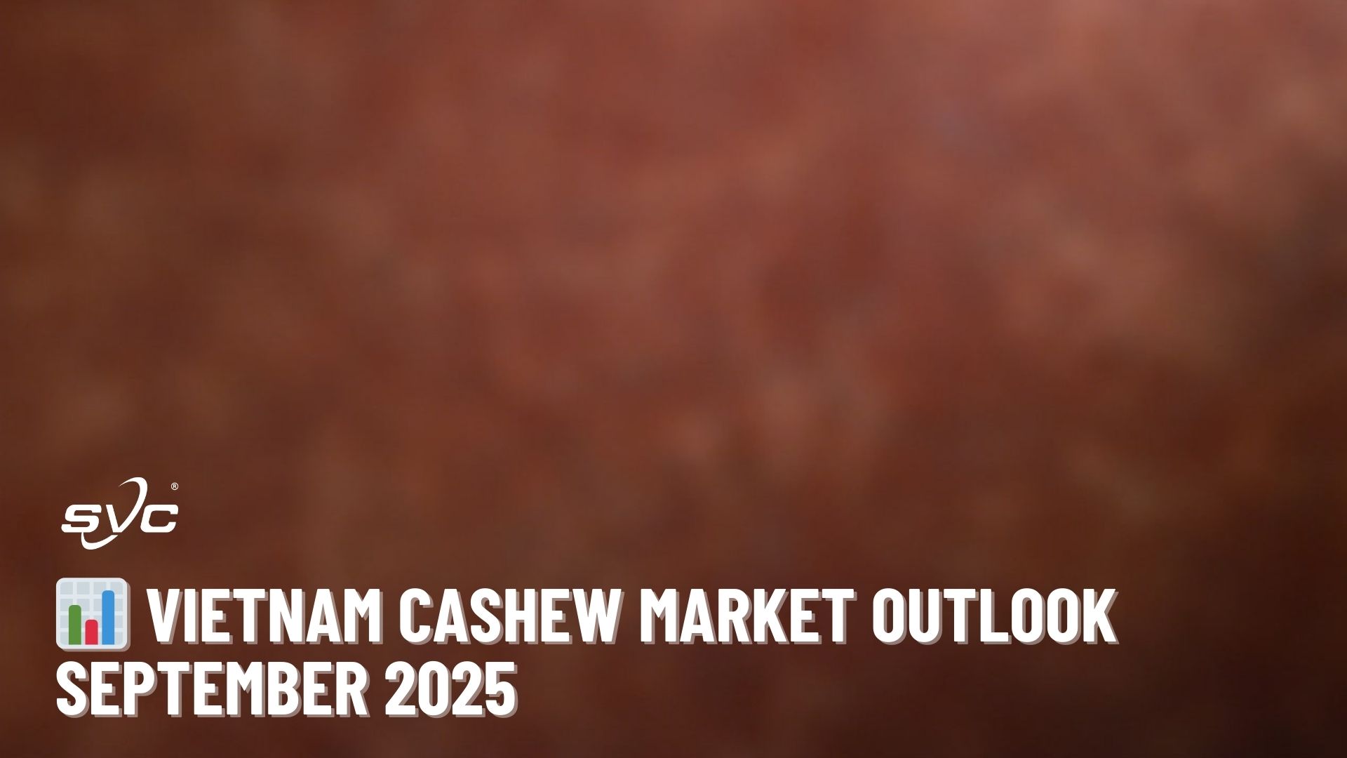 Vietnam Cashew Market Outlook – September 2025