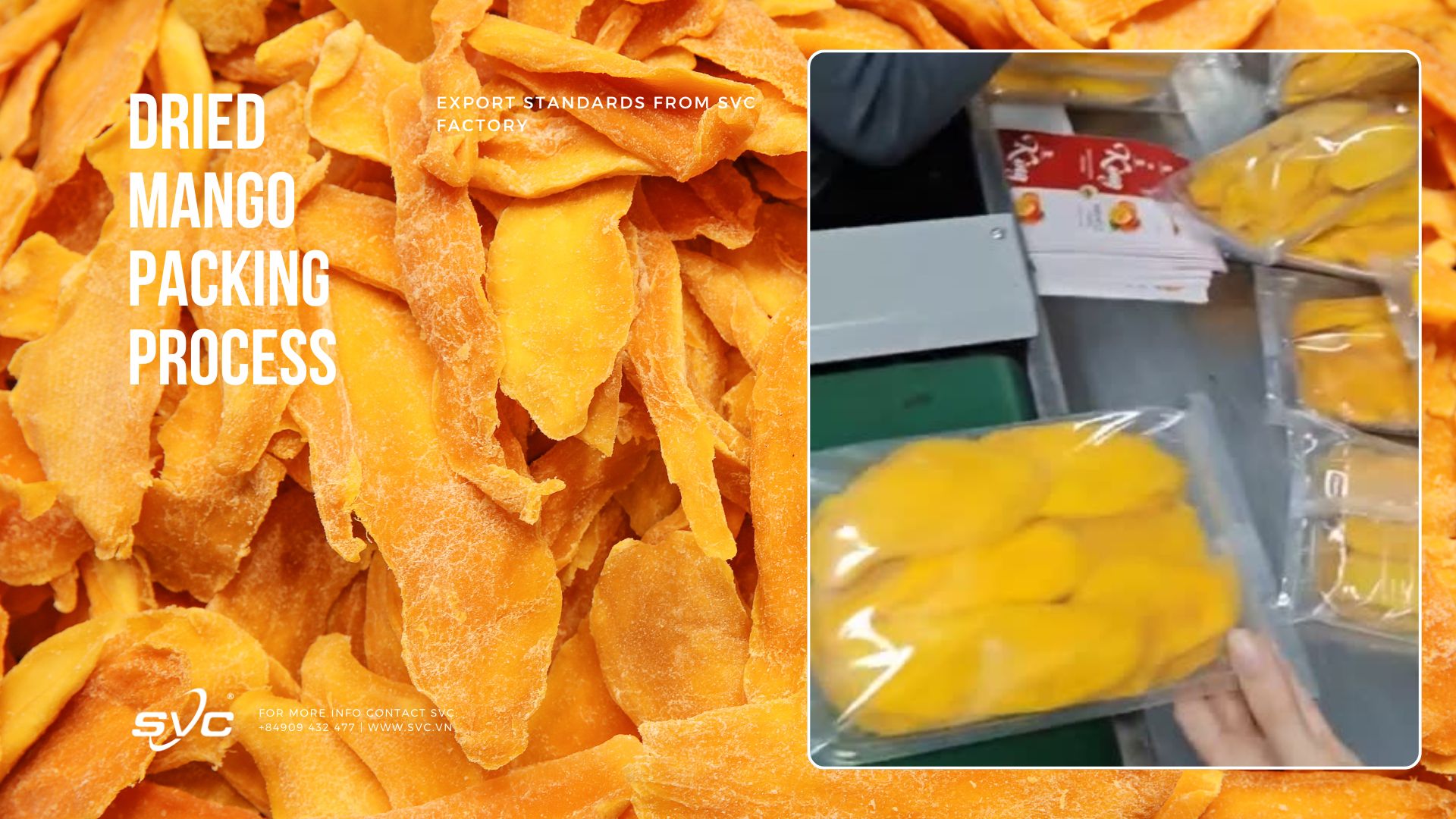 Dried Mango Packing Process