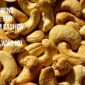 EUs-Growing-Appetite-for-Premium-Cashew-Grades-WW240-WW210
