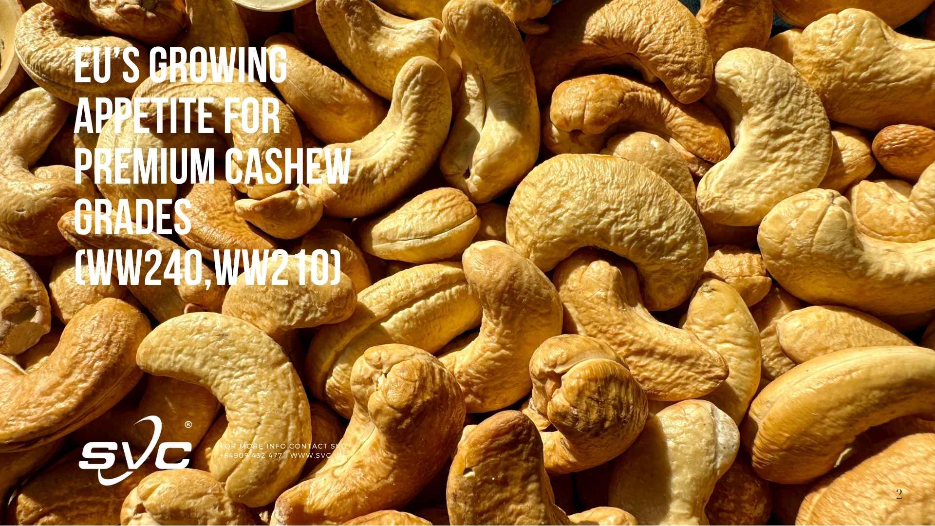 EUs-Growing-Appetite-for-Premium-Cashew-Grades-WW240-WW210
