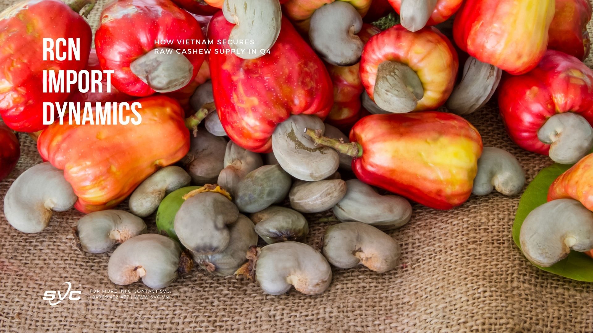 RCN Import Dynamics – How Vietnam Secures Raw Cashew Supply in Q4