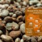 RCN Import Forecast for 2026 – How Vietnam Secures Raw Material Supply