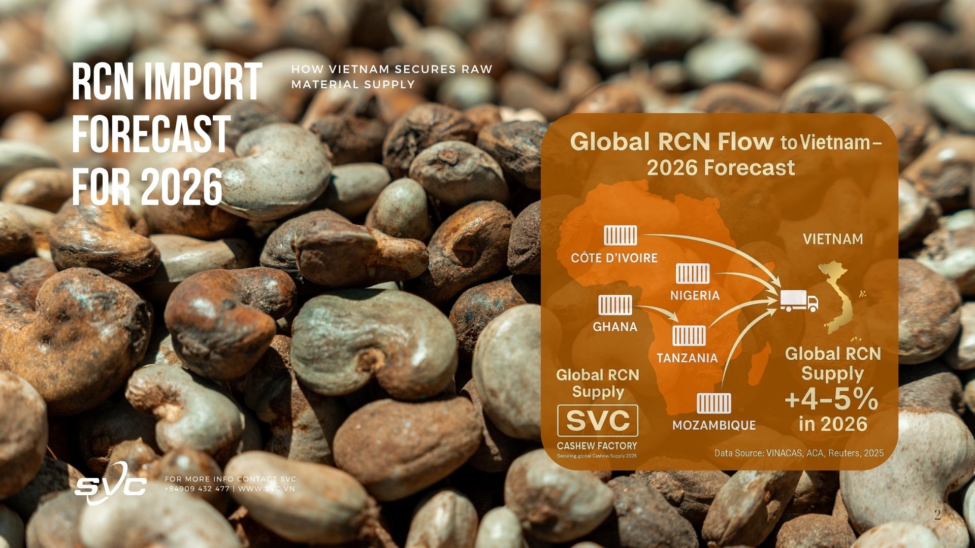 RCN Import Forecast for 2026 – How Vietnam Secures Raw Material Supply