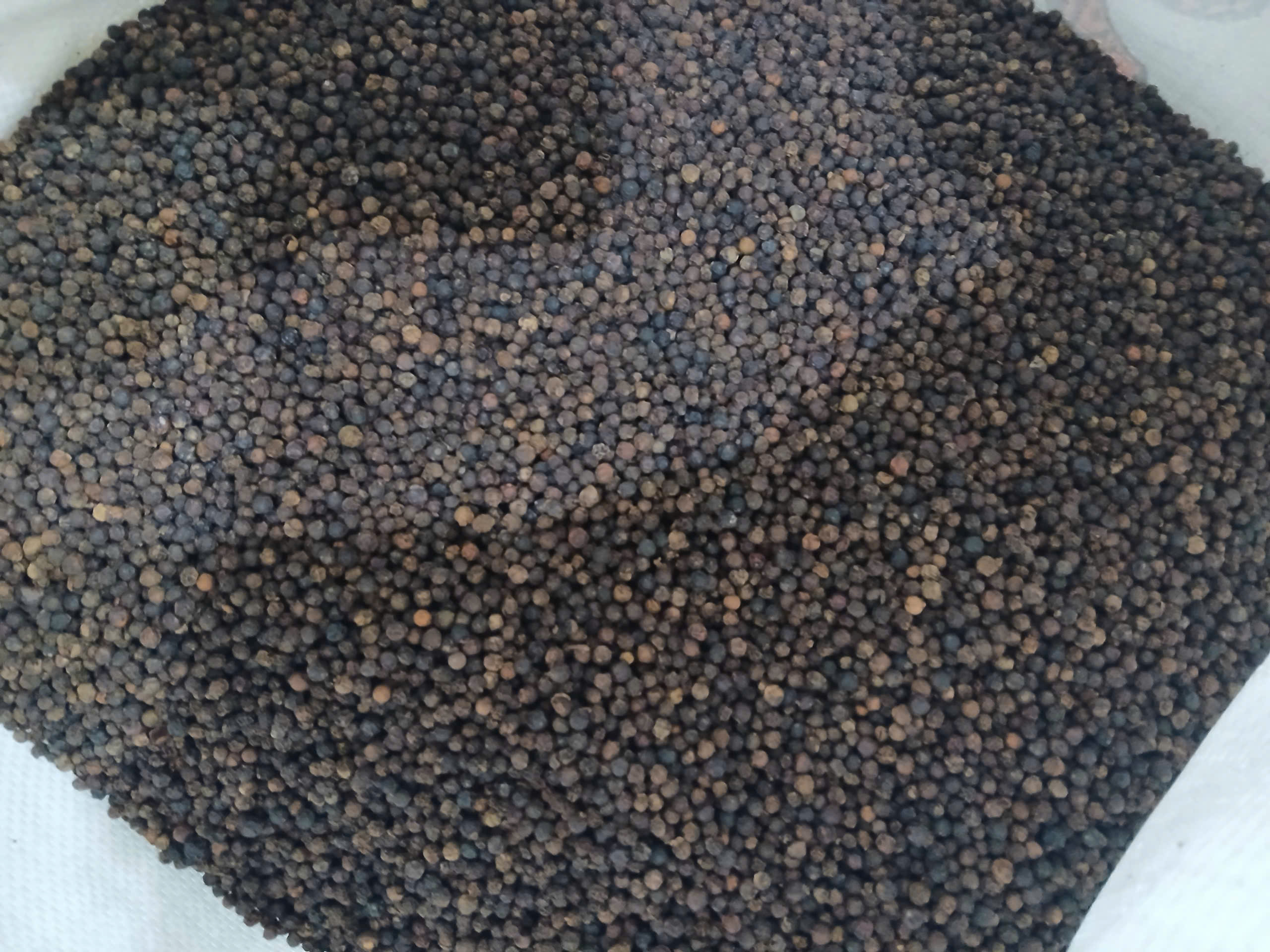 SVC Black Pepper 25