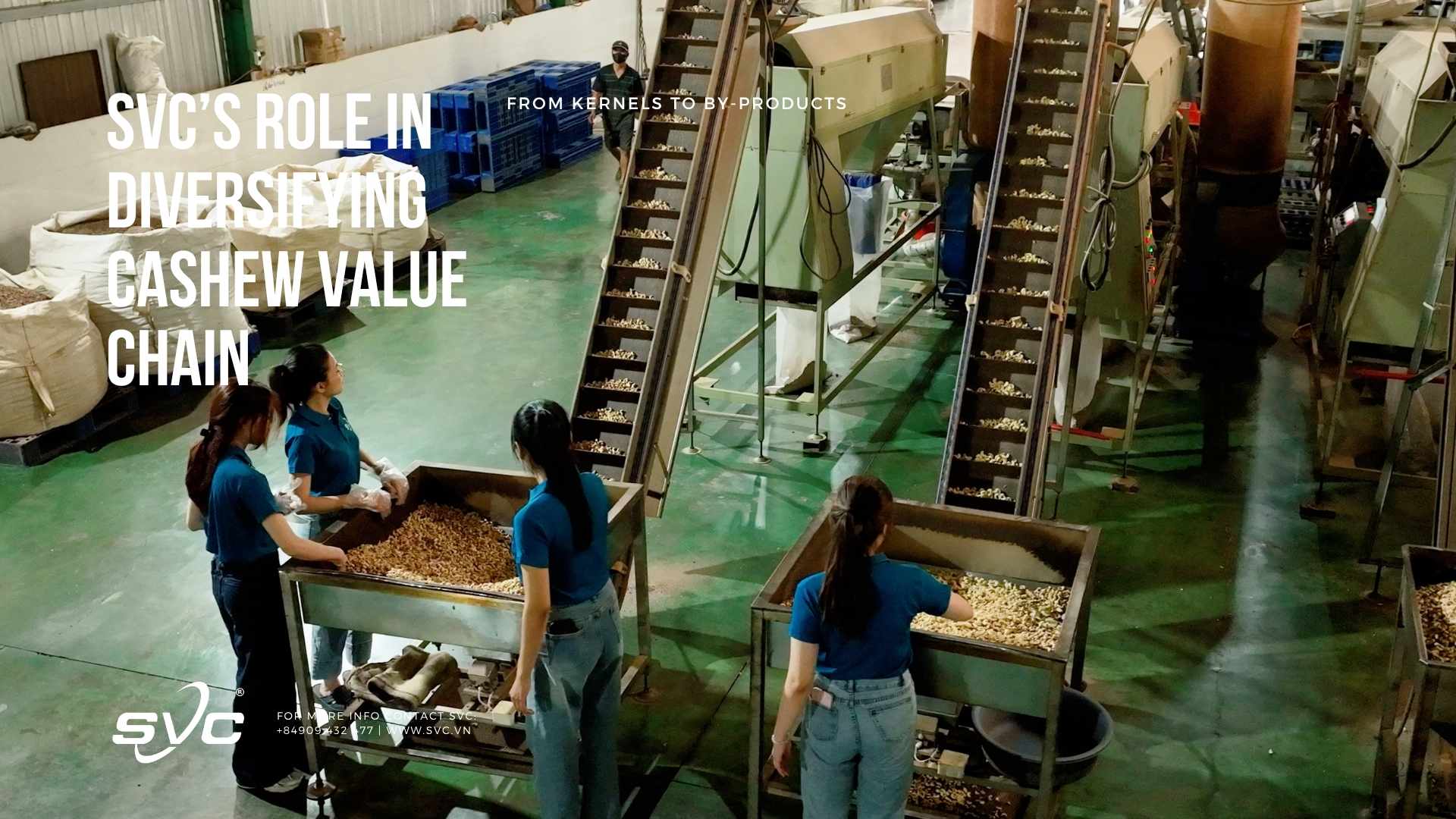 News 1 SVC’s Role in Diversifying Cashew Value Chain – From Kernels to By-products