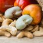 Vietnam Cashew Market Outlook October 2025 – Opportunities & Challenges