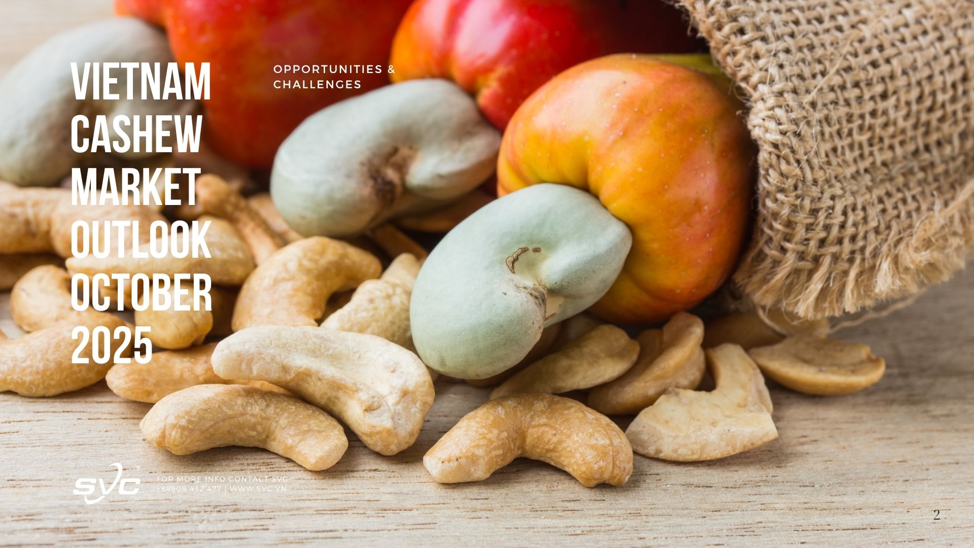 Vietnam Cashew Market Outlook October 2025 – Opportunities & Challenges