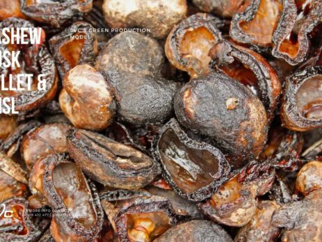 Cashew Husk Pellet & CNSL: SVC’s Green Production Model