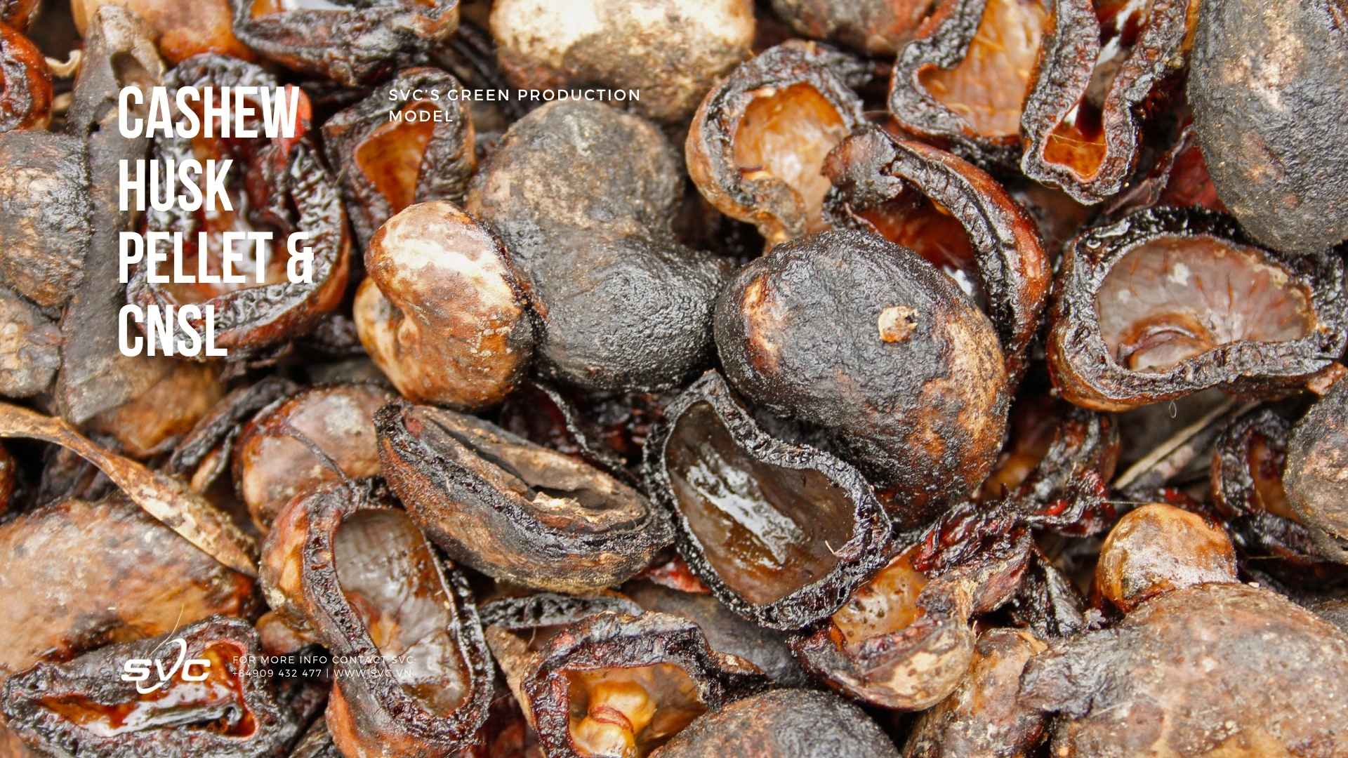 Cashew Husk Pellet & CNSL: SVC’s Green Production Model