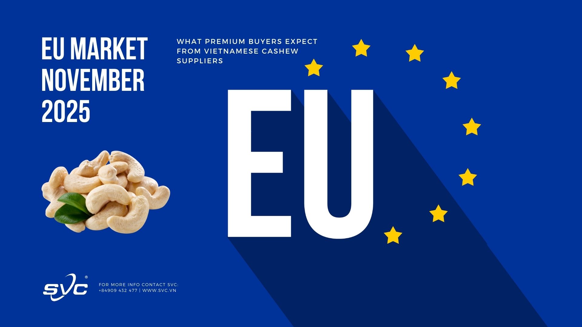 EU Market November 2025 – What Premium Buyers Expect from Vietnamese Cashew Suppliers