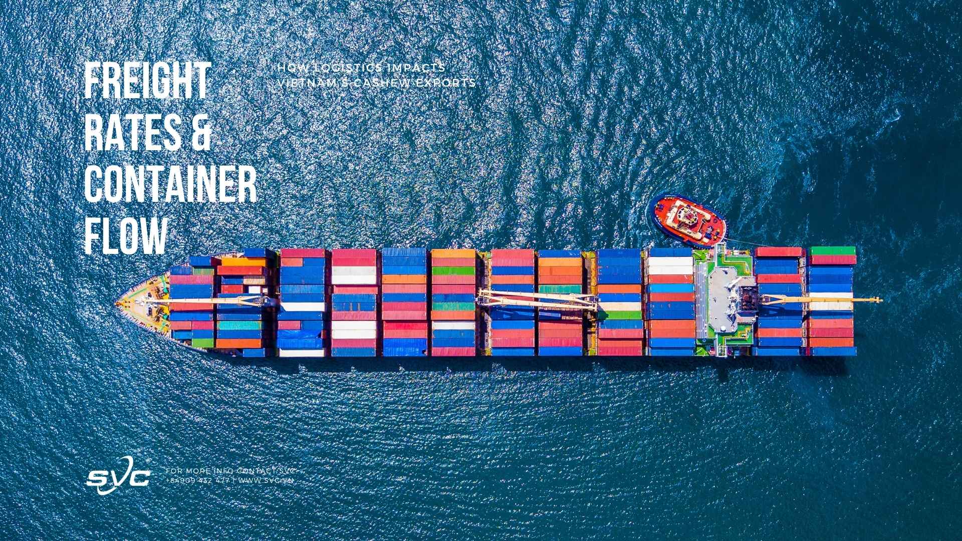 Freight Rates & Container Flow: How Logistics Impacts Vietnam’s Cashew Exports