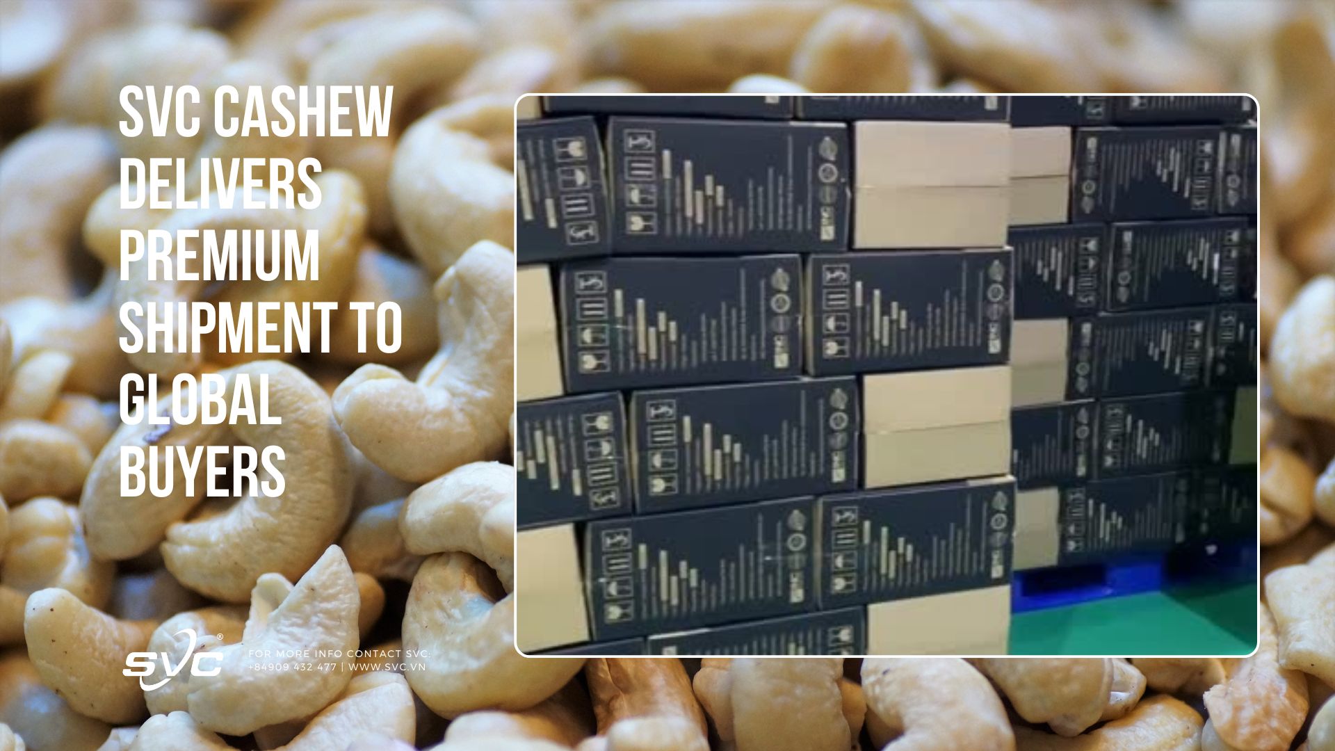 SVC Cashew Delivers Premium Shipment to Global Buyers