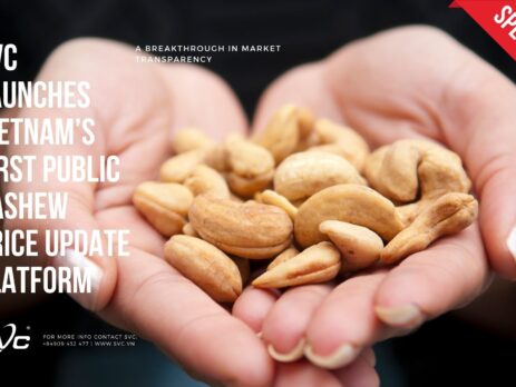 SVC Launches Vietnam’s First Public Cashew Price Update Platform – A Breakthrough in Market Transparency